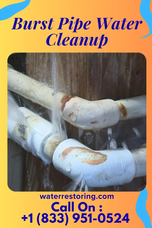 Burst Pipe Water Cleanup in Country Walk, FL